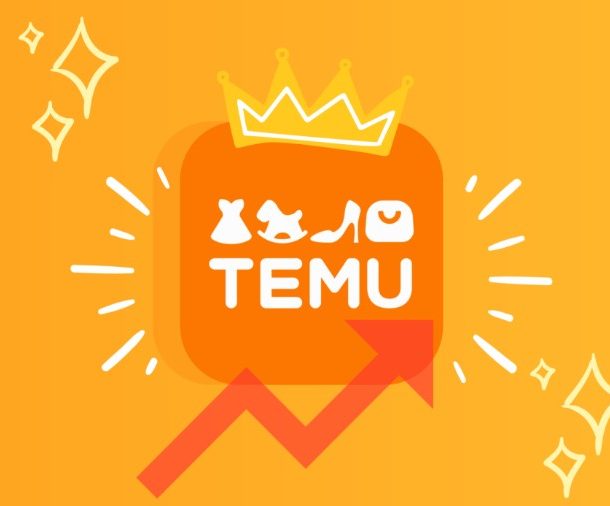 Image of TEMU Logo