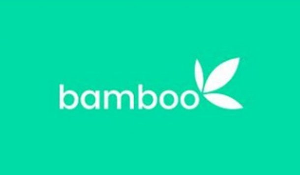 Image of bamboo logo