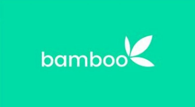 Image of bamboo logo