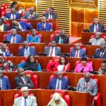 Parliament rejects major push by financial experts to lower PAYE rates